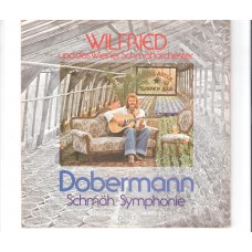 WILFRIED - Doberman